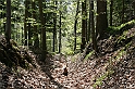a 288